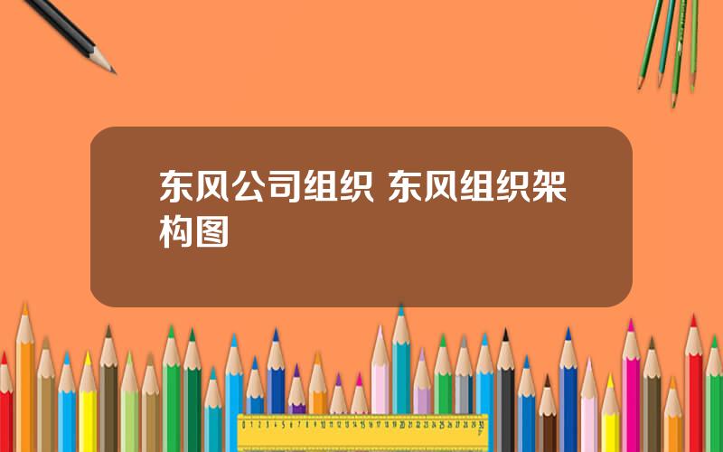 东风公司组织 东风组织架构图